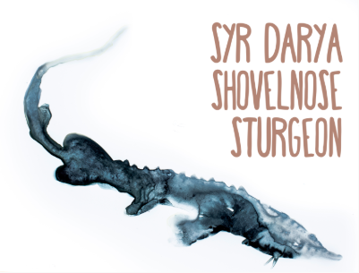 Lost species Shovelnose Sturgeon