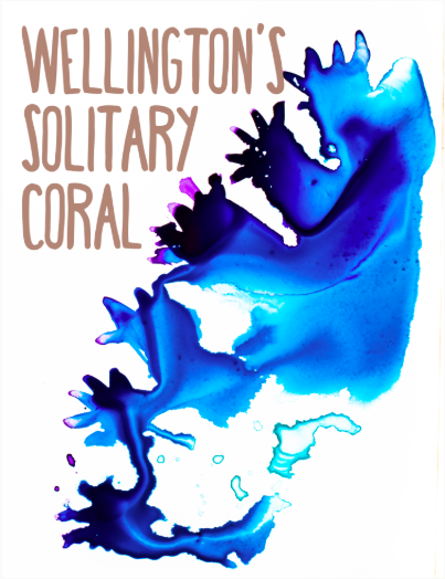 Wellingtons Solitary Coral illustration