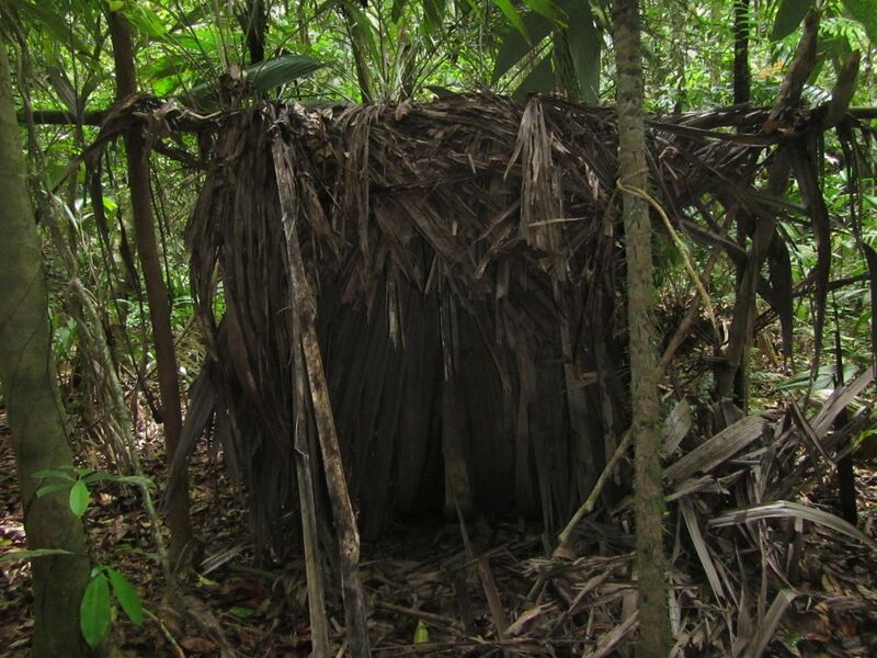 Hunting camp discovered as a part of ranger patrols