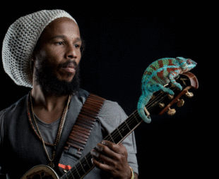 Ziggy Marley with chameleon