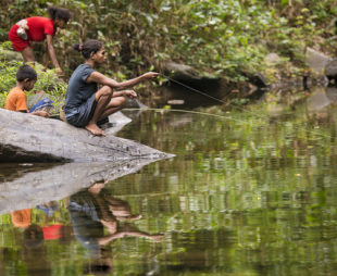 Batak tribe fishing