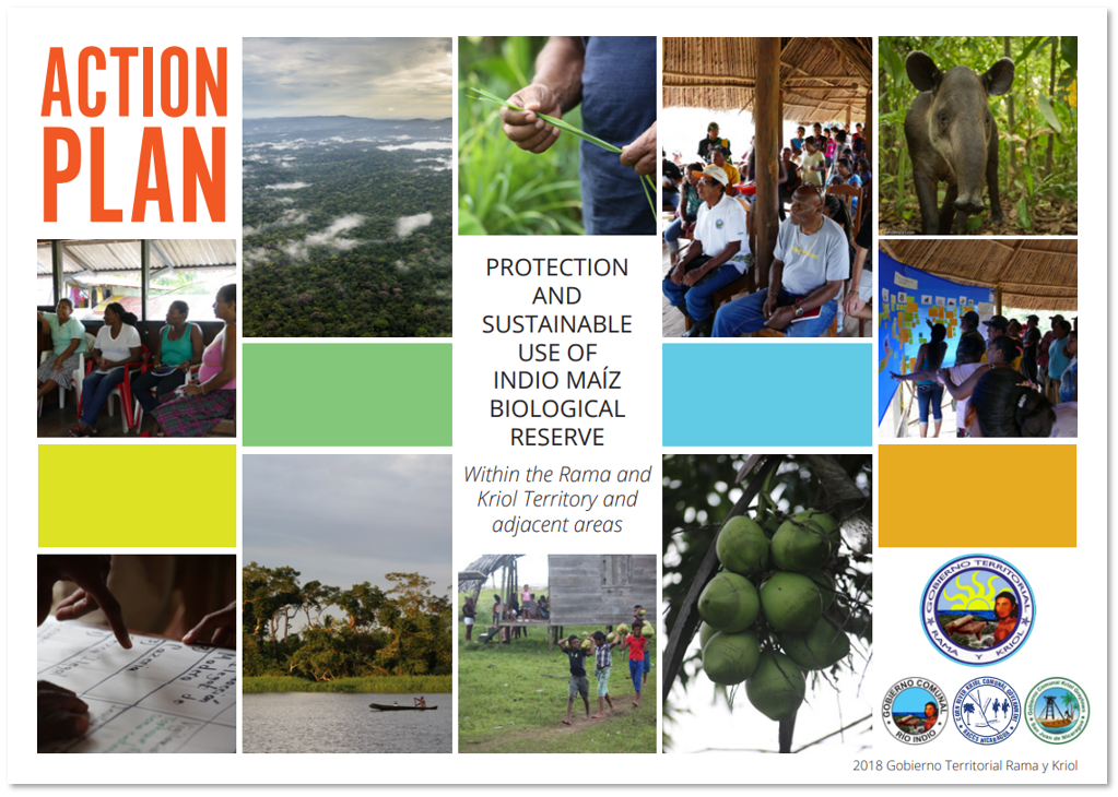 Visual Conservation Action Plan