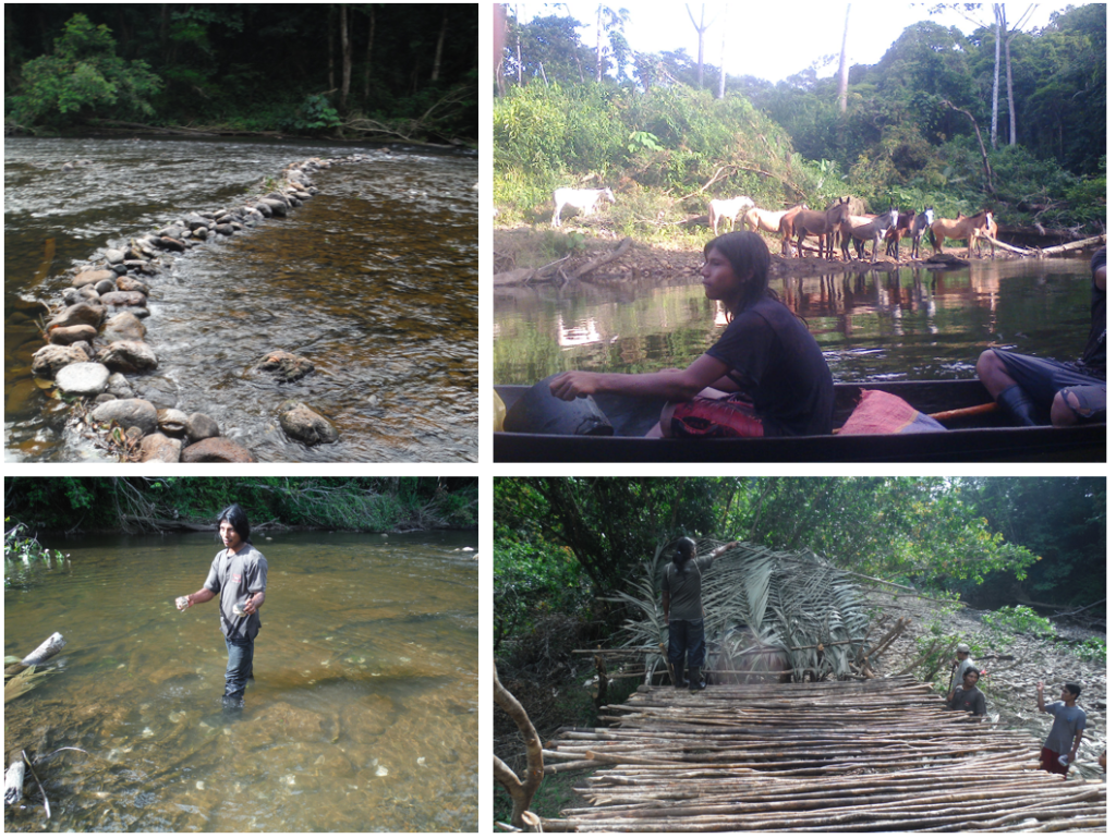 Photo collage of fishing with pesticides in indio maiz biological reserve