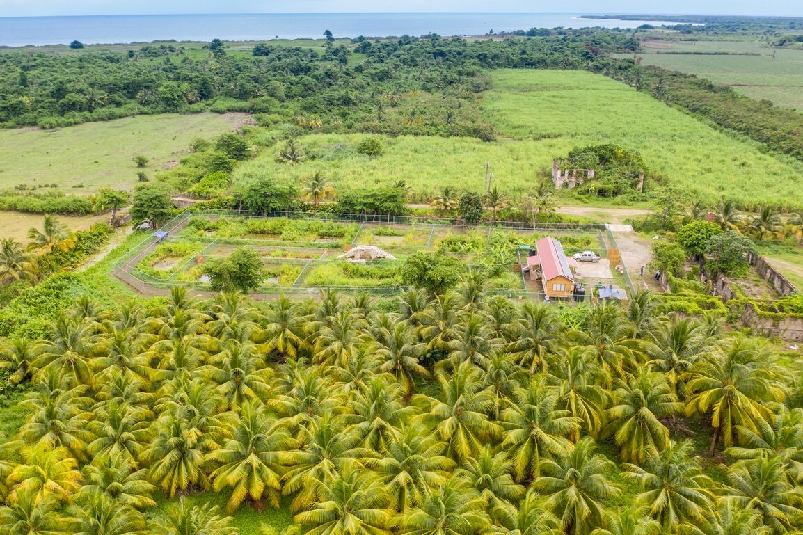 Holland Bay Crocodile Sanctuary