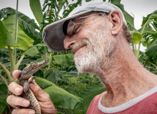 Croc whisperer with baby crocodile