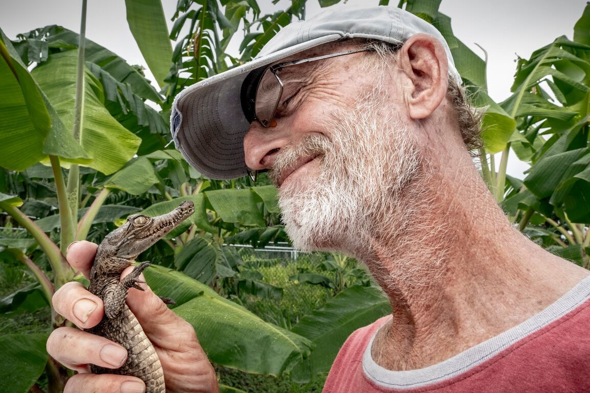 Croc whisperer with baby crocodile