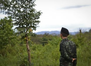 Ranger in Thailand