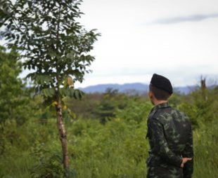 Ranger in Thailand