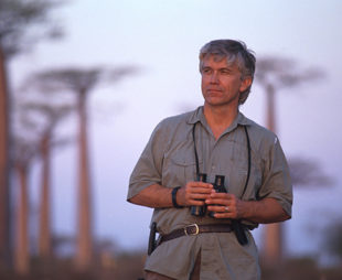 Russ in a baobab forest