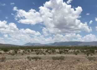 Guimbalete Ranch, Mexico