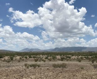 Guimbalete Ranch, Mexico