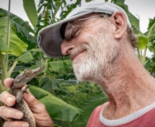 Croc Whisperer loves baby croc