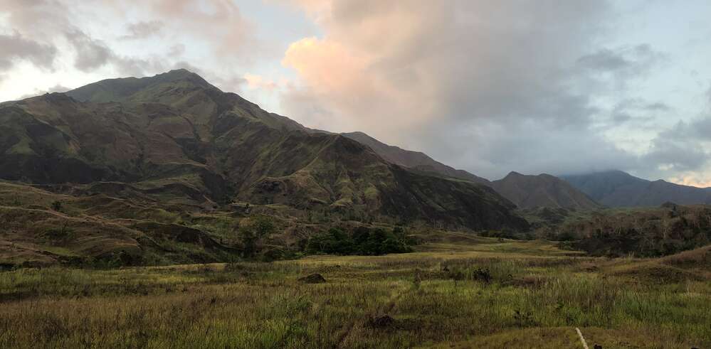 Newly found Tamaraw population's habitat on Mindoro Island