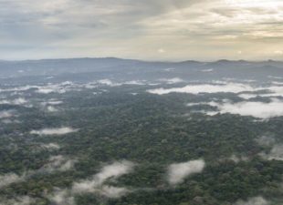 Indio-Maiz Biological Reserve, landscape view