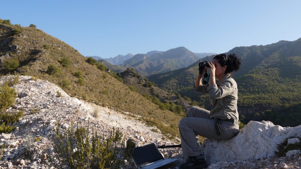 birdwatching in Spain