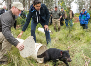 Wes and Adrian Grenier releasing a tasmanian devil