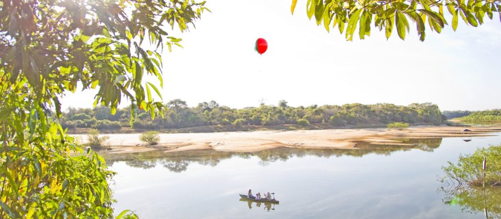 Scientific research in Brazil