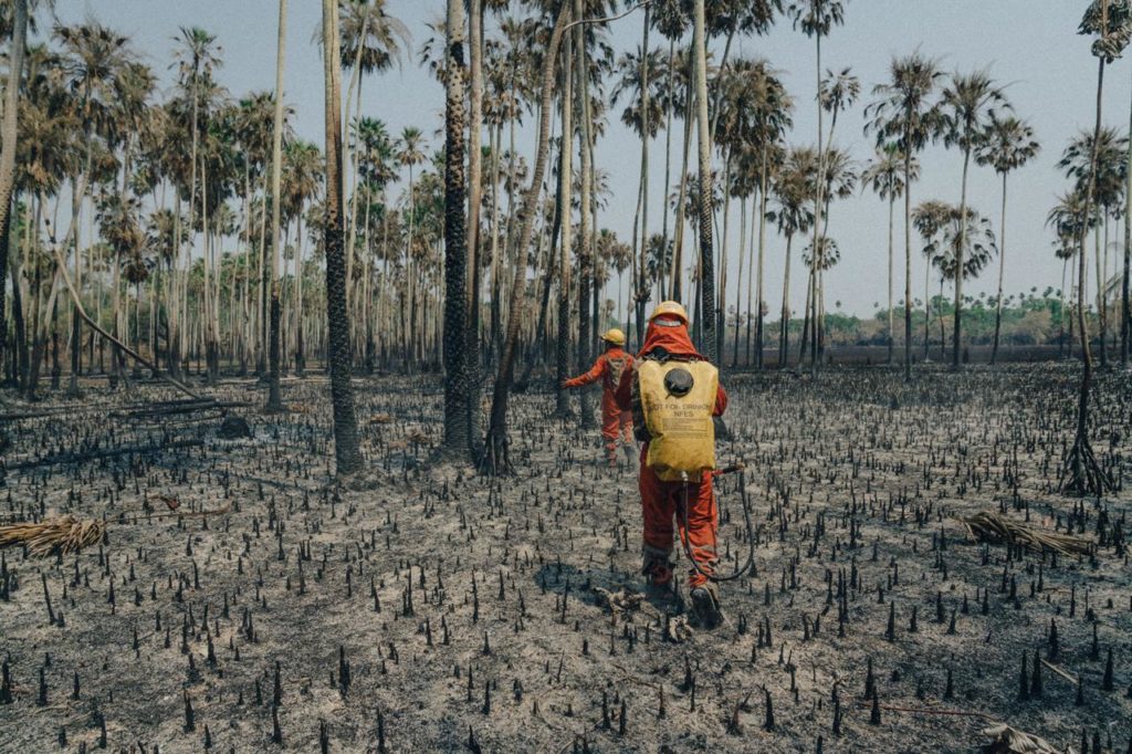 Devastation of wildfire