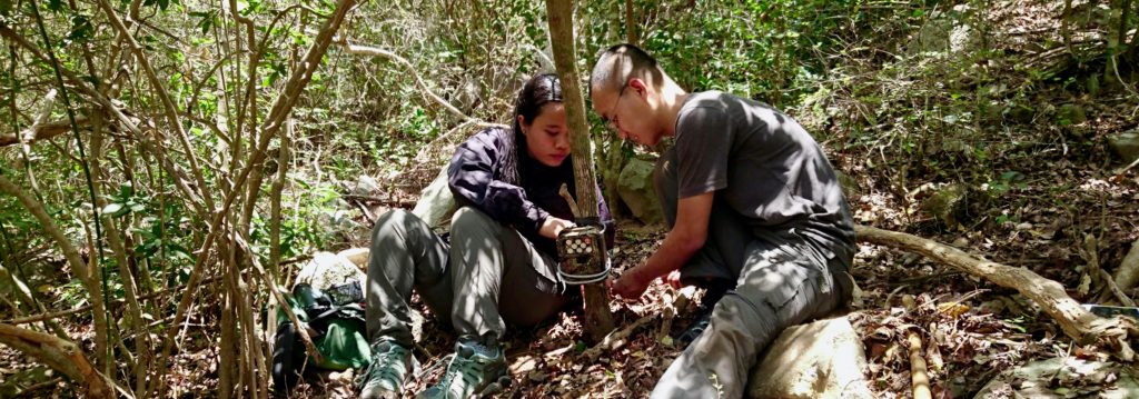 Setting camera traps in Vietnam looking for Silver-backed Chevrotain