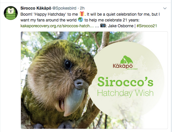 Happy Hatchday: 21 Years of Conservation Success for the ...