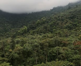 Guatemala’s northern highlands