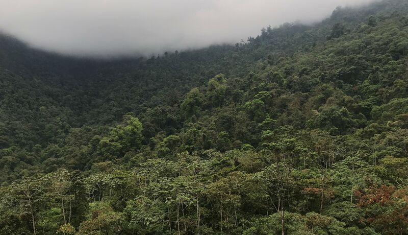 Guatemala’s northern highlands 