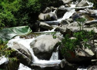 Sierra Nevada de Santa Marta Colombia