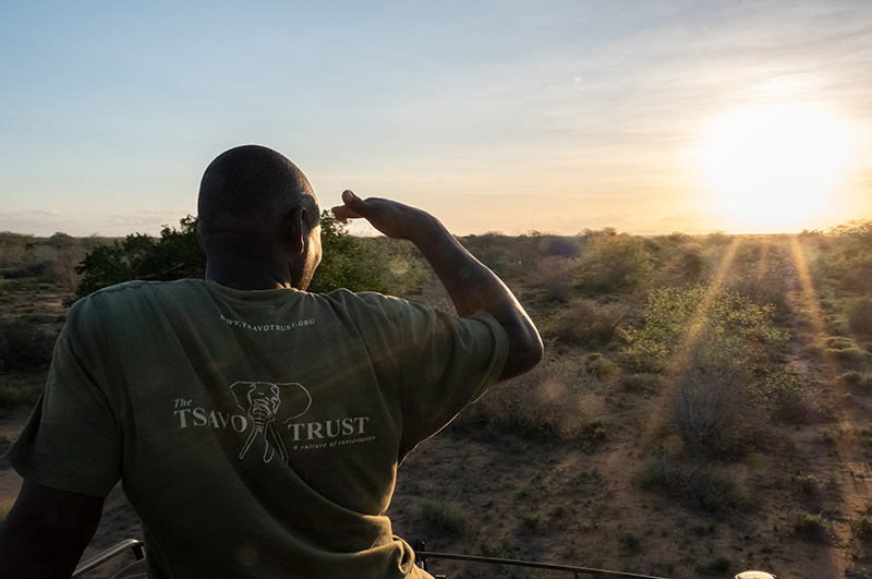 A ranger from Tsavo Trust helps look for Hirola during the few hours of soft light