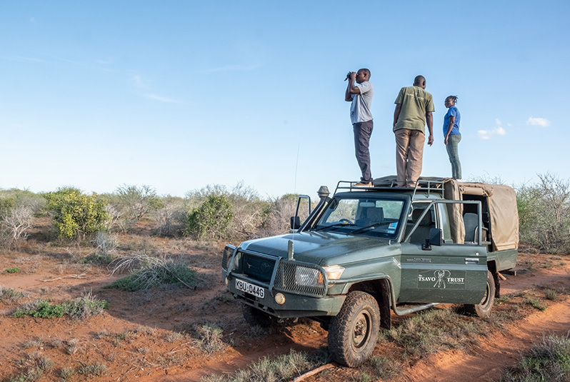 Rangers from Tsavo Trust have a keen eye for Hirola and other species that can be tricky to spot