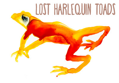 lost harlequin toads