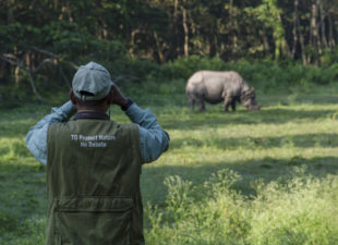 Ranger watching a rhino in a field through binoculars.