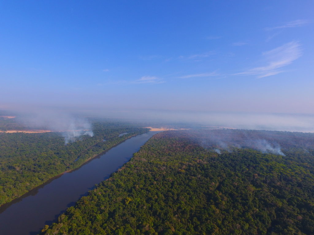 Ariel photo of forest with clouds of smoke rising above the canopy where fires are burning.