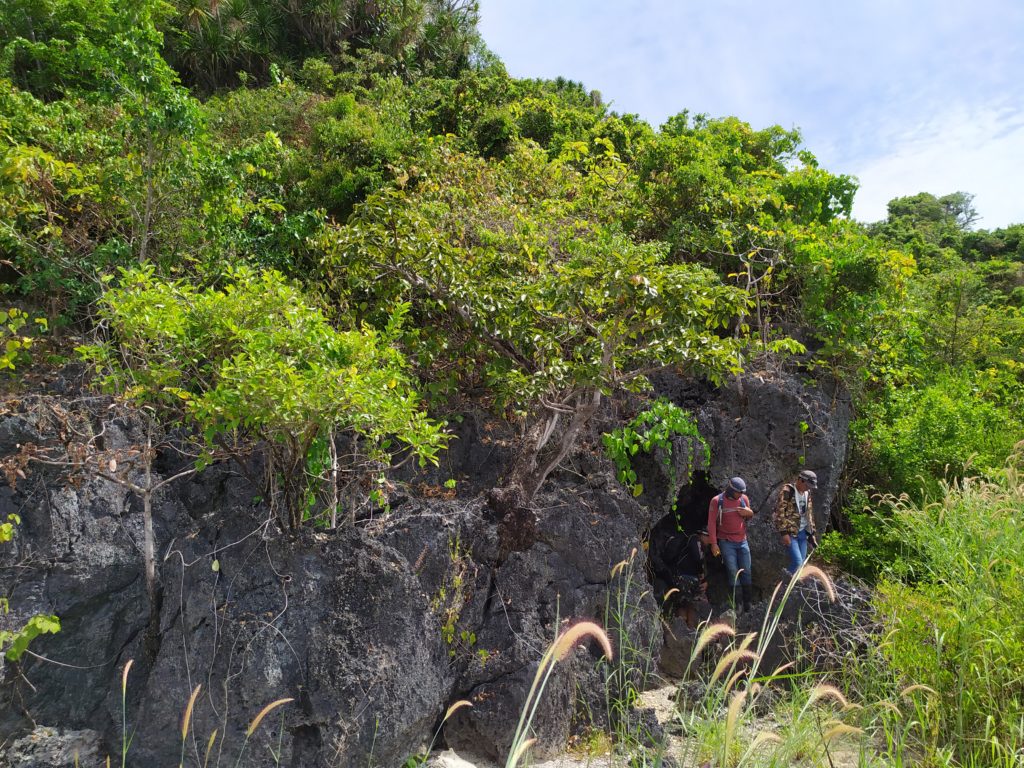 Scientists walking through lowland forests