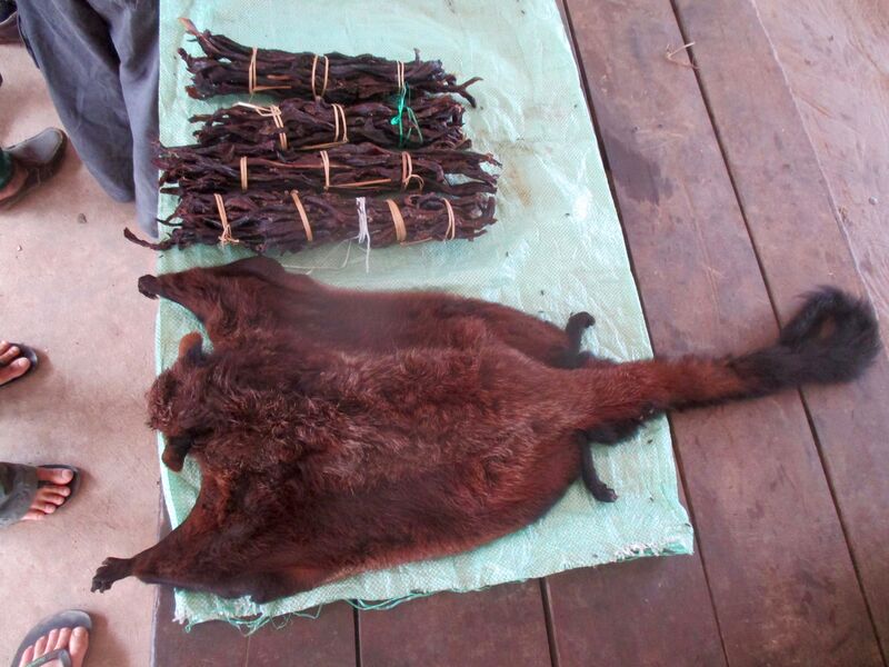 Bushmeat in Laos