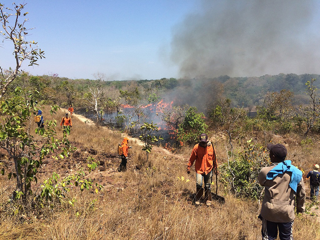 NGO workers putting out fires in dry grassland of the Cerrado.