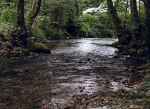 Kruščica River