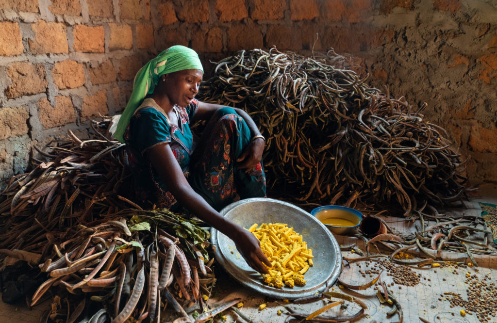 A woman sitting on the floor surrounded by crops to husk.