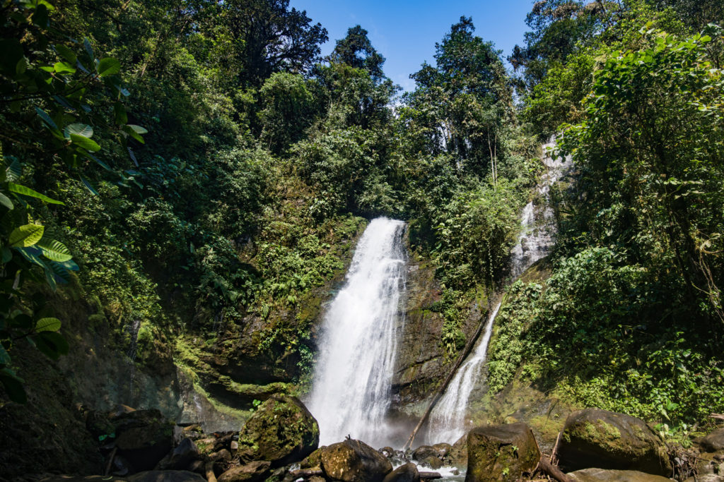 Waterfall in Manduriacu Reserve