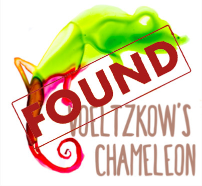 Lost_Species_—_Voeltzkow_s_Chameleon-1_found