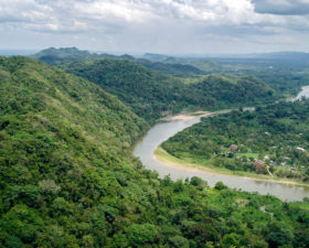 Moskitia Forest, Honduras. Photo courtesy of Laurie Hedges