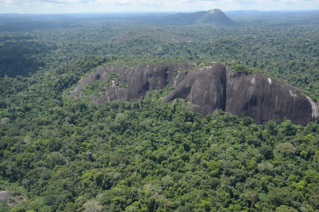 Somali and the Forest Spirit - Wikipedia