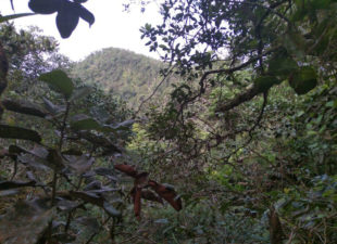 Mountains in Colombia