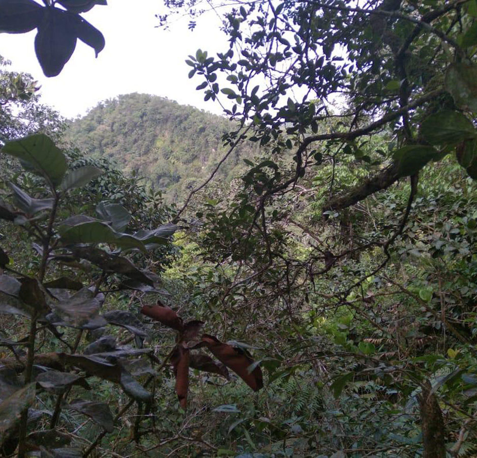 Mountains in Colombia