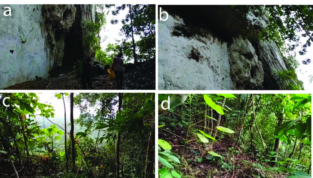 Photos of the karst cliffs where ornithologists suspect the Black-browed Babbler lives.