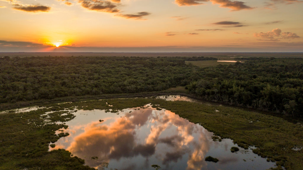 An aerial photo of the vast and flat wetlands of Iberà in Argentina. 