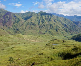 Mountains covered in green meadows rising up to touch the clouds.