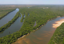 credit: Instituto Araguaia