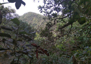 Mountains in Colombia